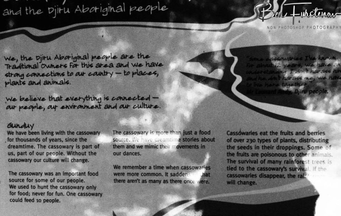 Dreamtime reminder at Mission Beach, Tropical Queensland, Australia