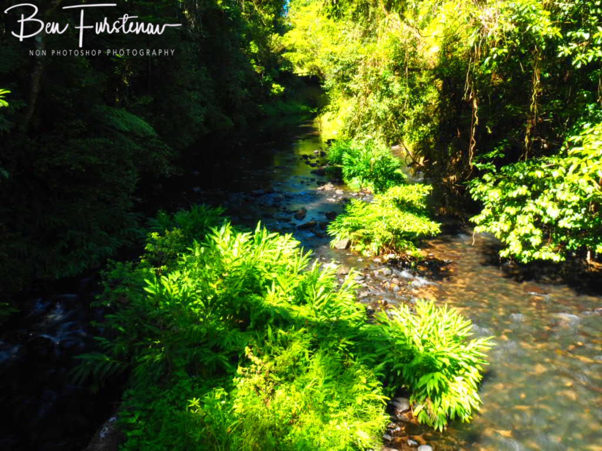 Henrietta Creek mending along and through the Atherton Tablelands, Far North Queensland, Australia 