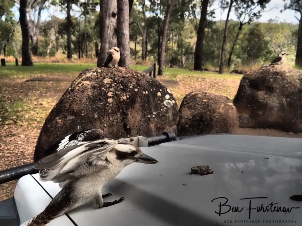 Almost there, Atherton Tablelands, Far North Queensland, Australia 