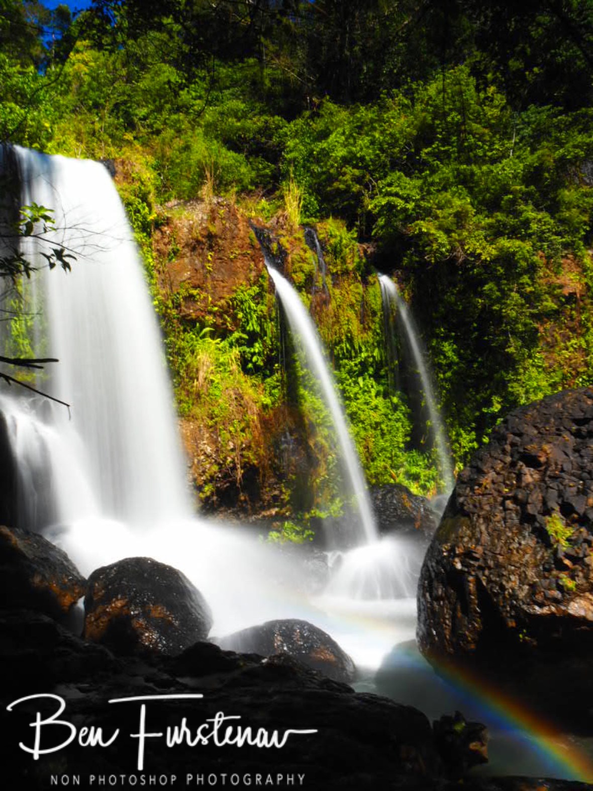 Beautiful capture at Atherton Tablelands, Far North Queensland, Australia 