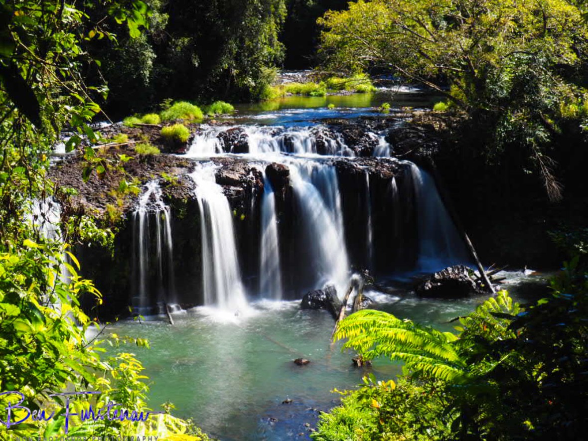 Wallacha Falls from the viewing platform, Atherton Tablelands, Far North Queensland, Australia