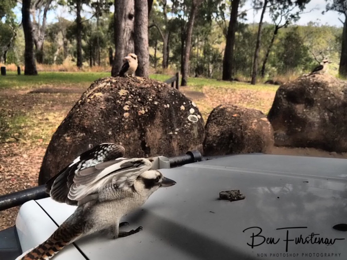 So close, no crust, Atherton Tablelands, Far North Queensland, Australia 
