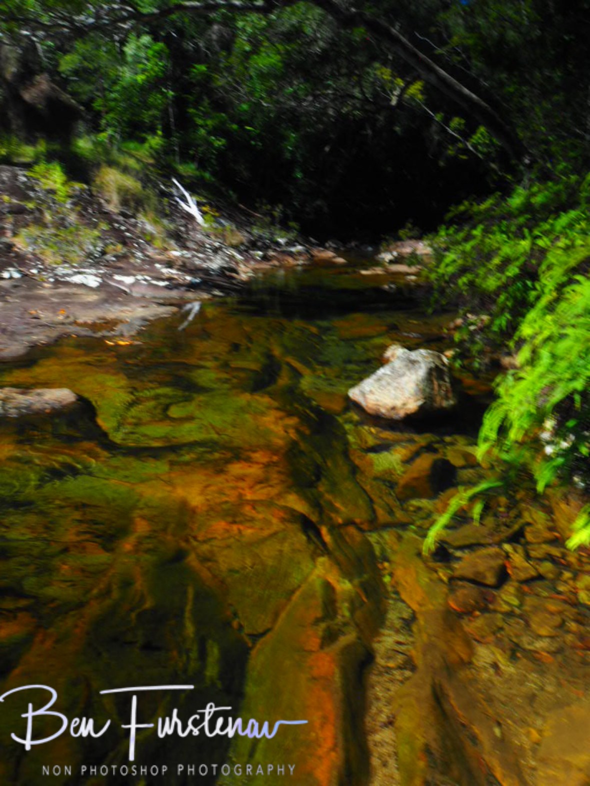 Green colours all around at Birthday Creek Falls, Northern Queensland, Australia 