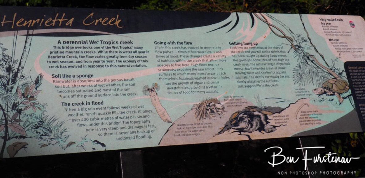 Signs of life at Henrietta Creek, Atherton Tablelands, Far North Queensland, Australia 