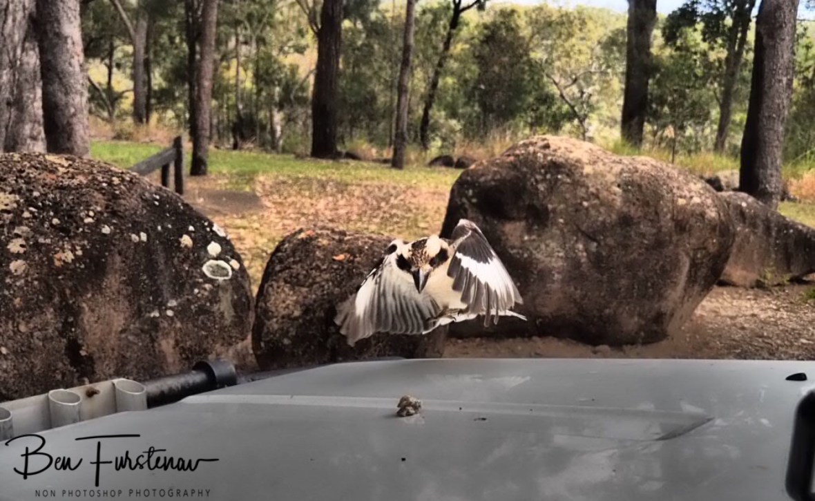 Well focused at Atherton Tablelands, Far North Queensland, Australia 