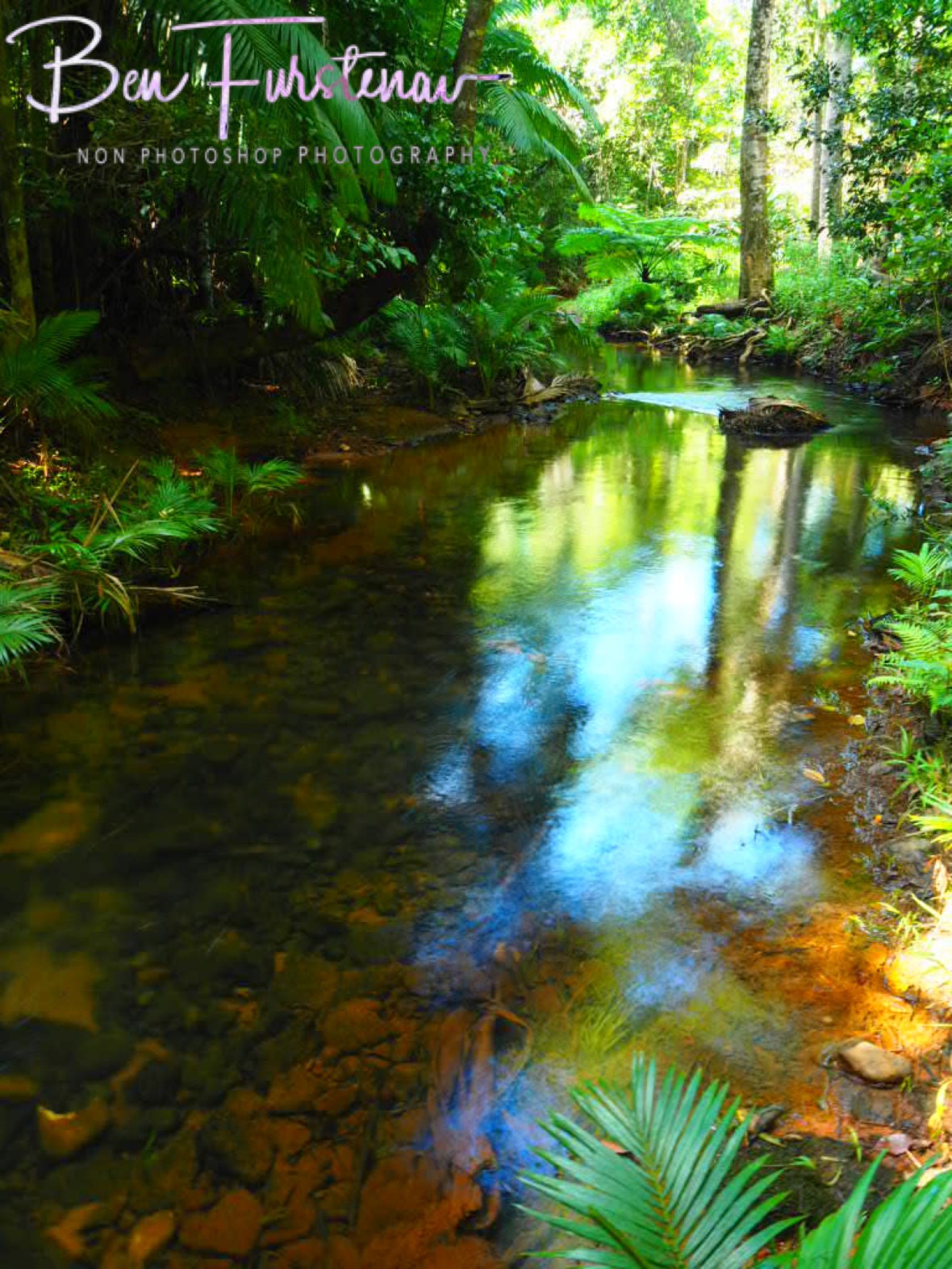Slow motion at Mission Beach, Tropical Queensland, Australia 