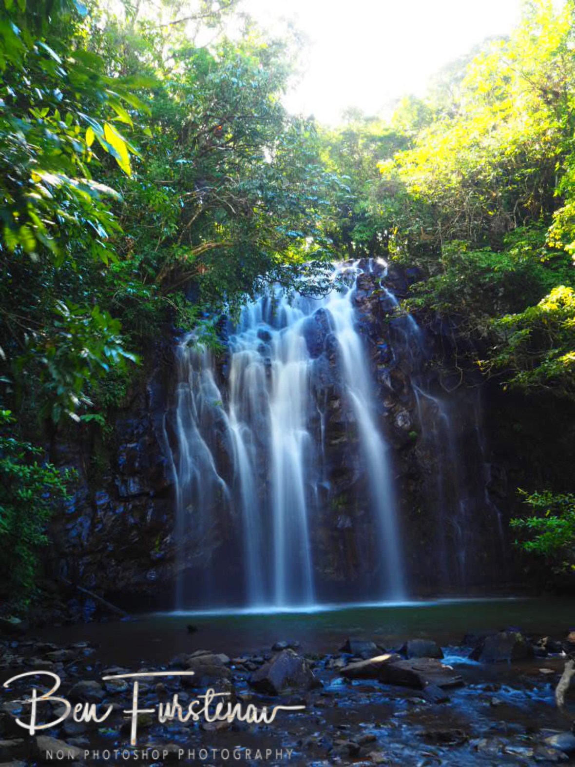 Ellinjia Falls and lush vegetation, Atherton Tablelands, Far North Queensland, Australia