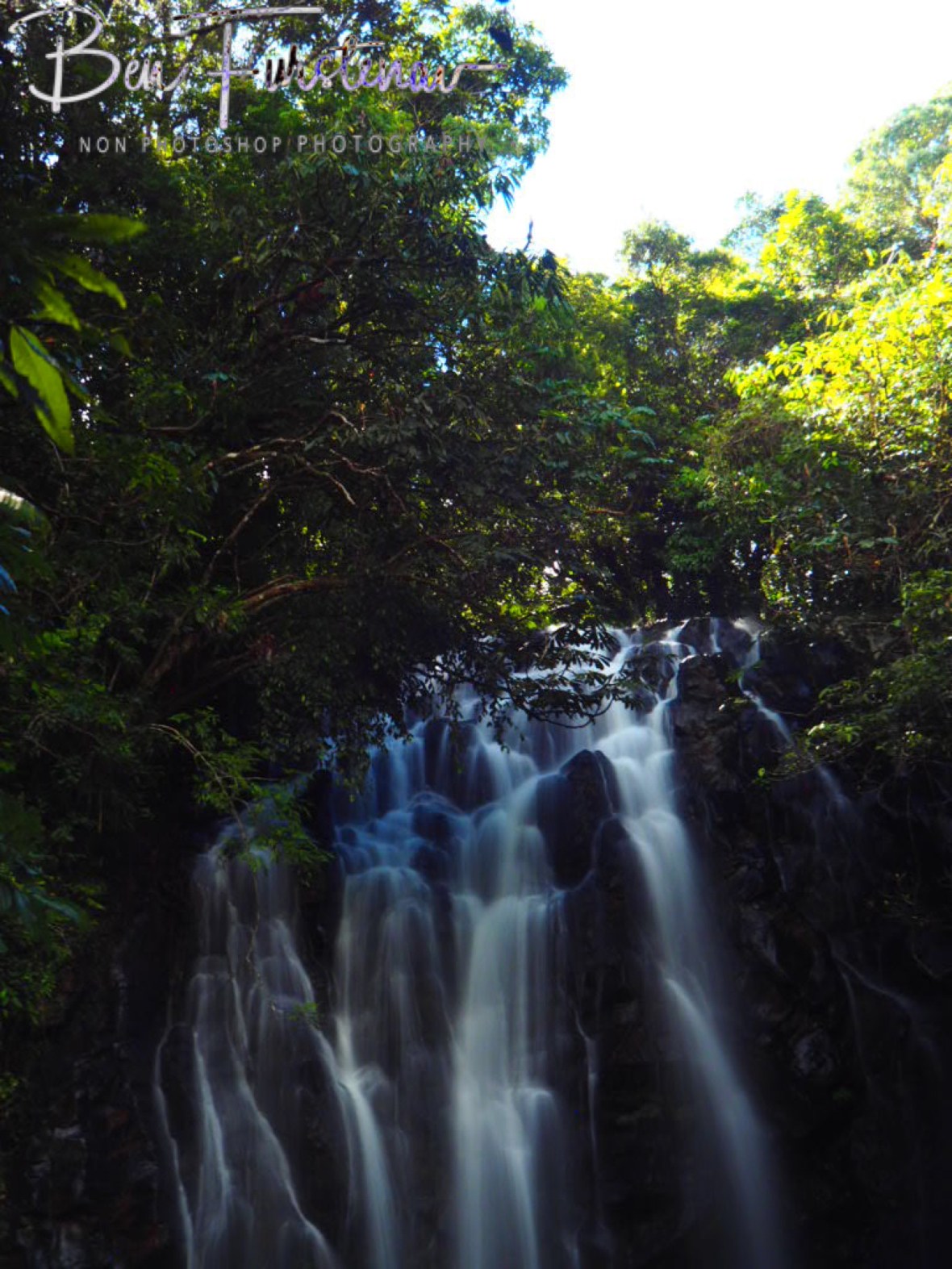 Bridal veil appearance, Atherton Tablelands, Far North Queensland, Australia