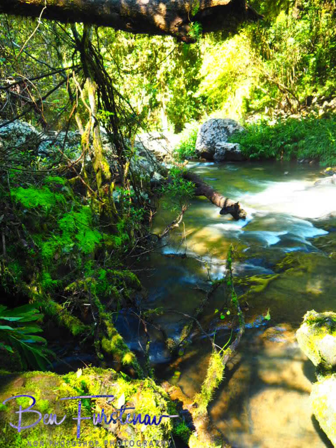 Theresa Creek flowing along, Atherton Tablelands, Far North Queensland, Australia