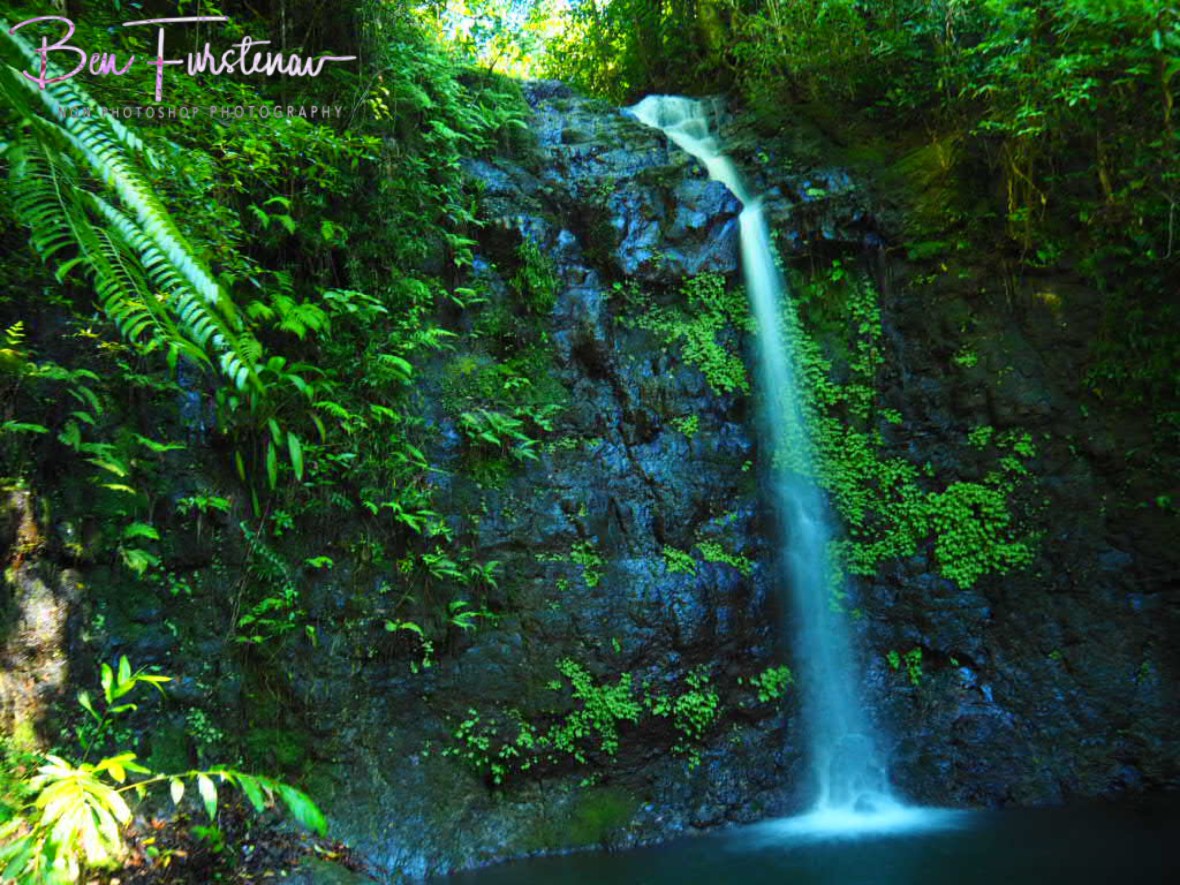Mhhhhud Cake, Atherton Tablelands, Far North Queensland, Australia