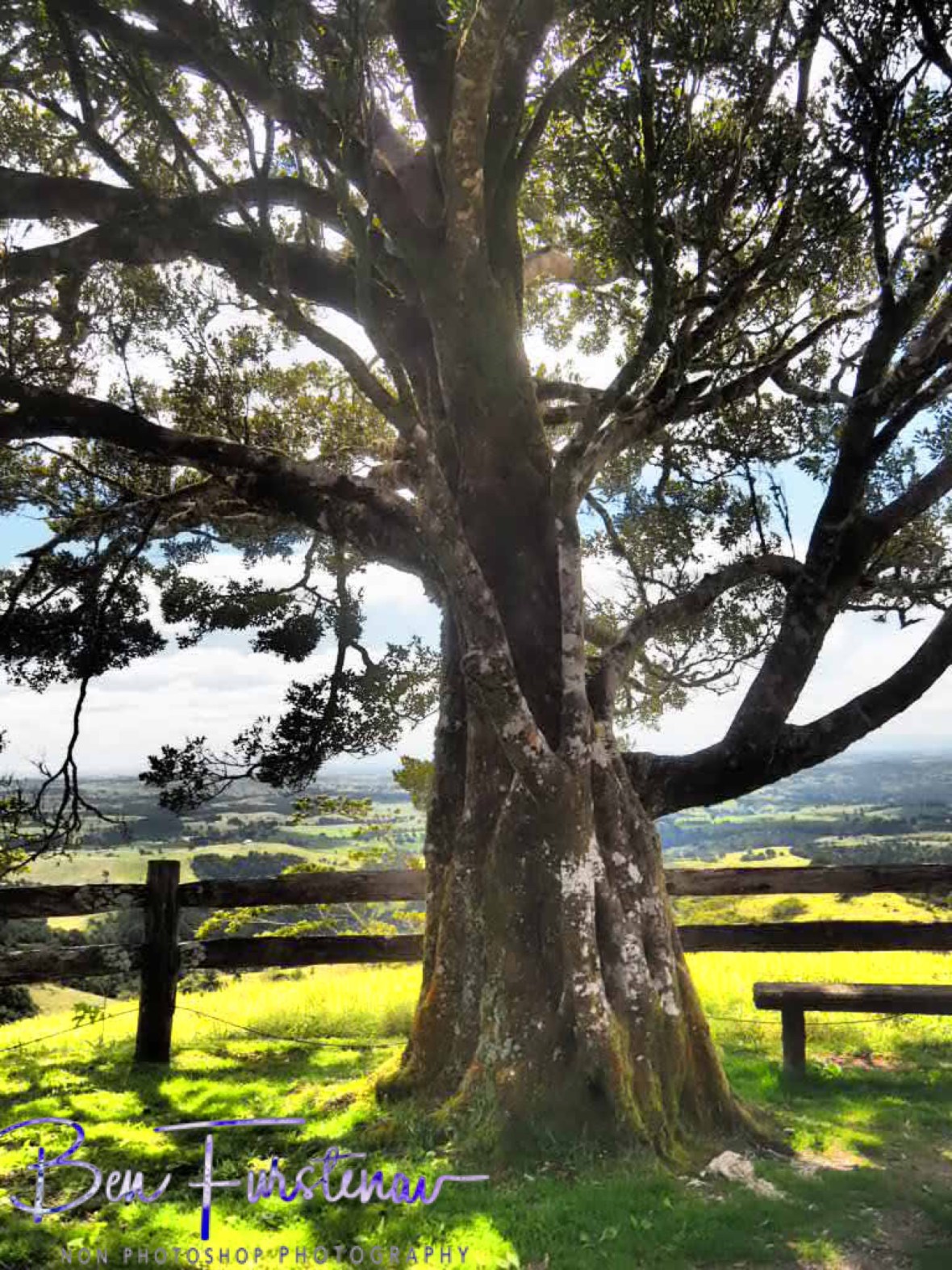 Lookout point near Millaa Millaa township, Atherton Tablelands, Far North Queensland, Australia