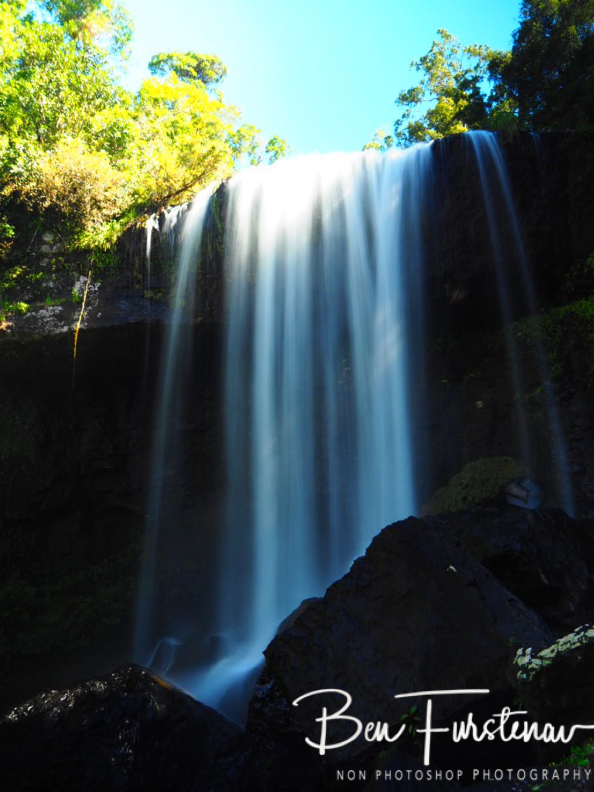 Tricky light conditions, Atherton Tablelands, Far North Queensland, Australia