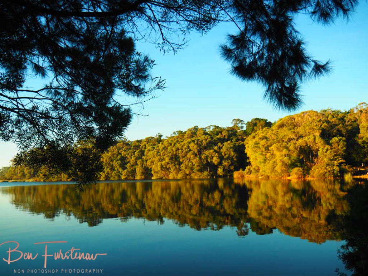 Wind sheltered mirror Lake Paluma, Northern Queensland, Australia 