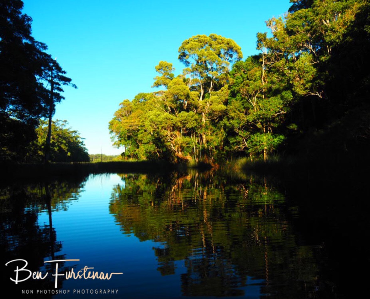 Early morning mirror and shadows at Lake Paluma, Northern Queensland, Australia 