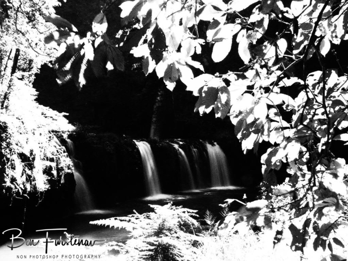 Congested view, Atherton Tablelands, Far North Queensland, Australia 