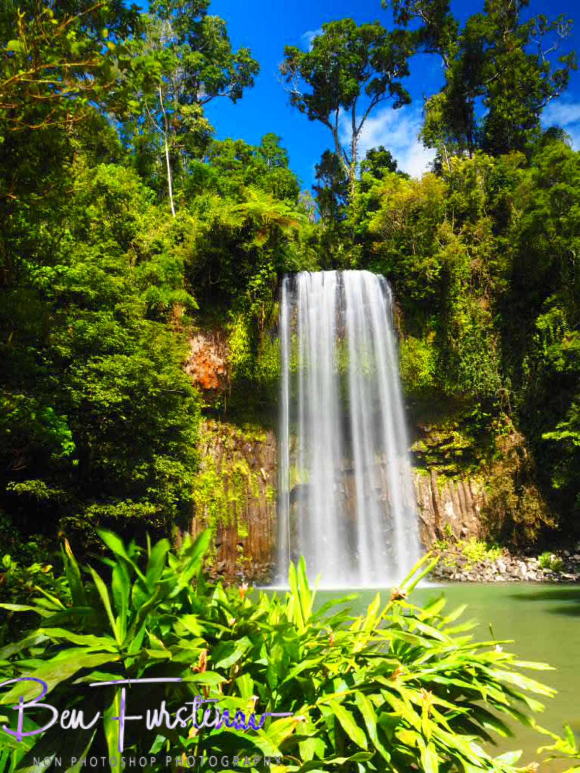 Blue skies around thick forest, Atherton Tablelands, Far North Queensland, Australia