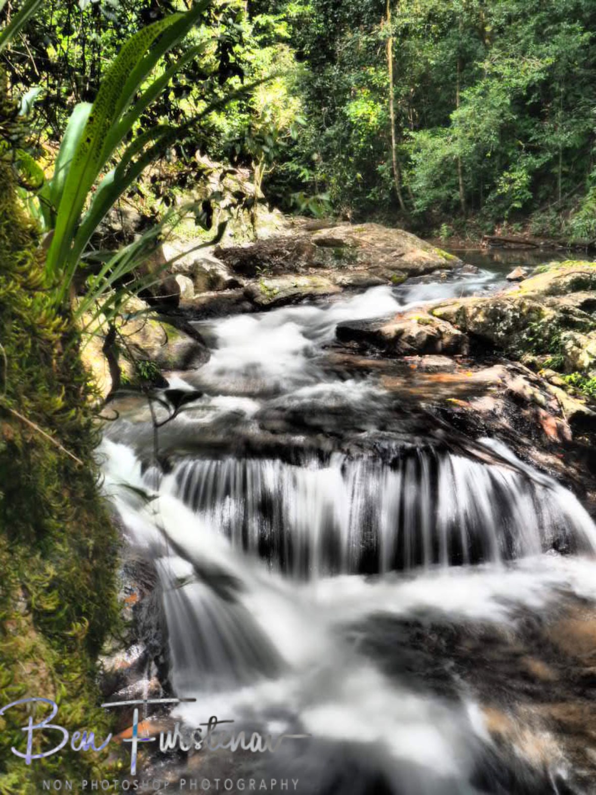 Visual presentation, Atherton Tablelands, Far North Queensland, Australia 