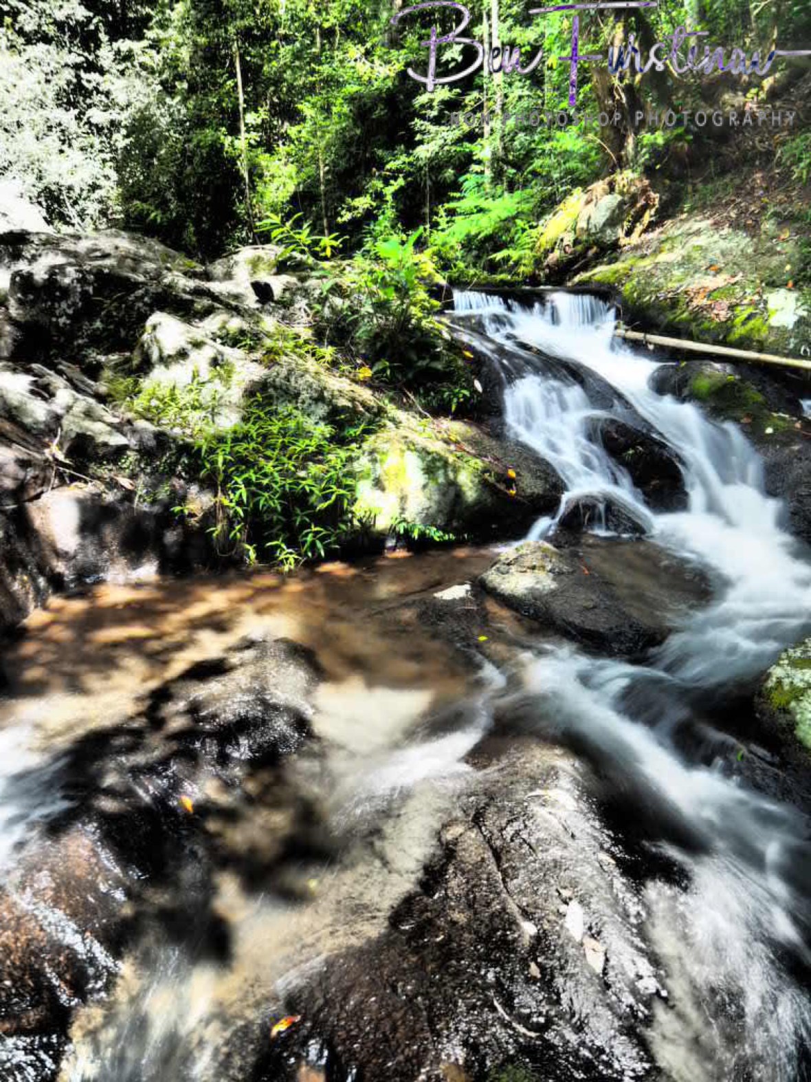 A bonanza of colours and movement at Atherton Tablelands, Far North Queensland, Australia 