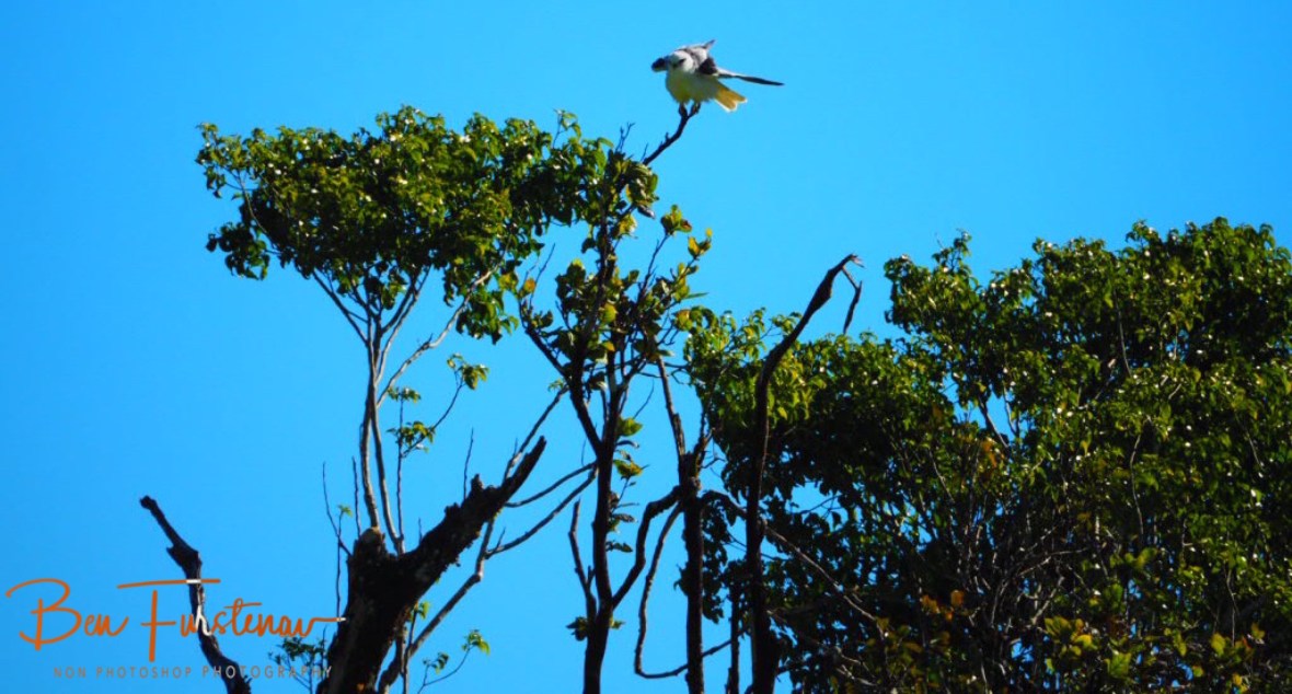 Another amazing afternoon at Atherton Tablelands, Far North Queensland, Australia 
