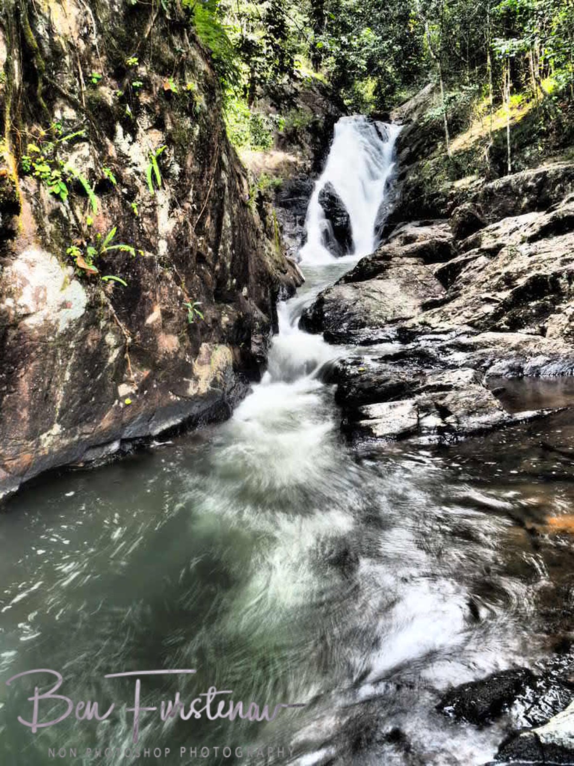 Natural bottleneck at Atherton Tablelands, Far North Queensland, Australia 