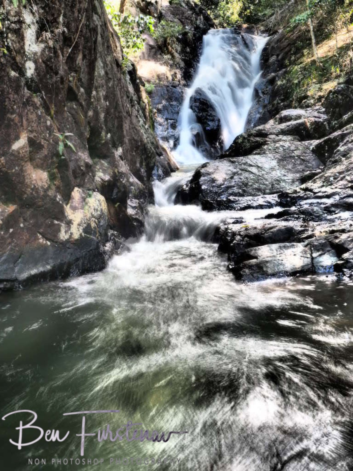 First signs of a torrent nature, Atherton Tablelands, Far North Queensland, Australia 