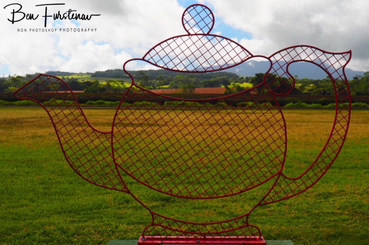 Giant tea pot at Atherton Tablelands, Far North Queensland, Australia 