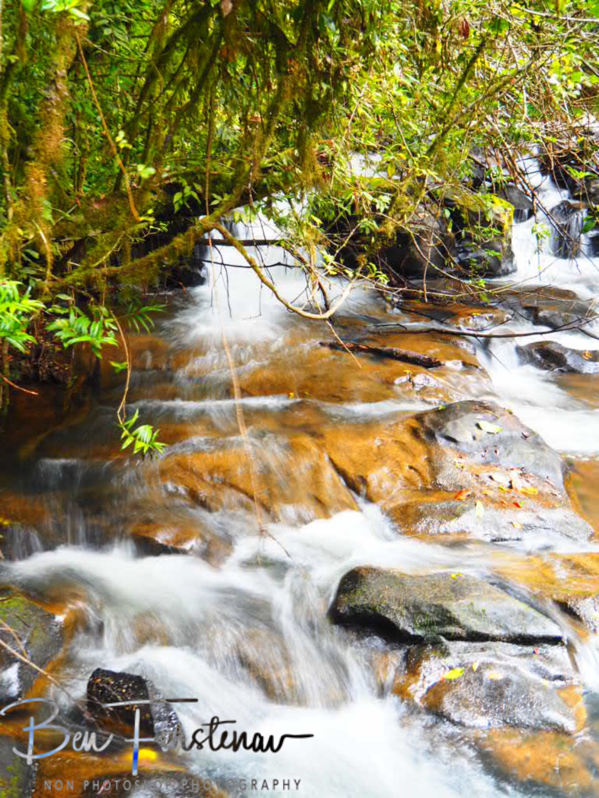 Raw nature at Atherton Tablelands, Far North Queensland, Australia 
