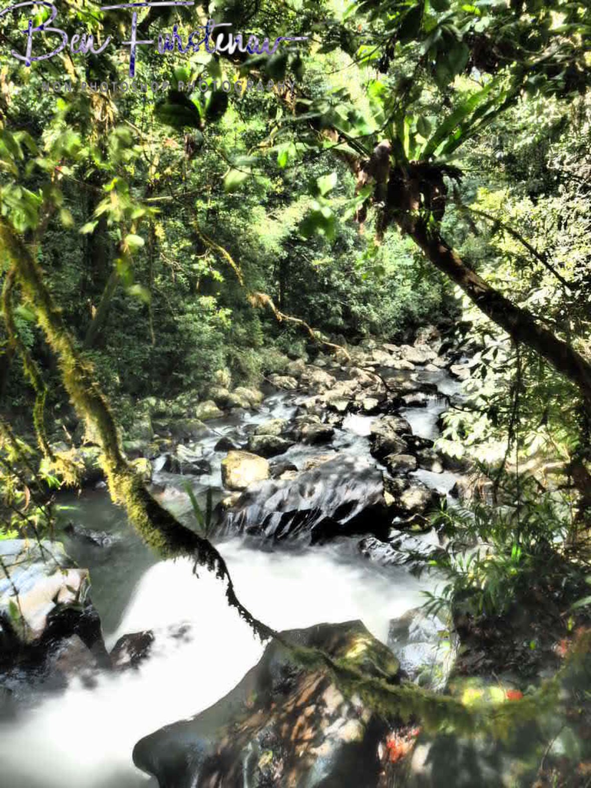 Upstream view at Atherton Tablelands, Far North Queensland, Australia