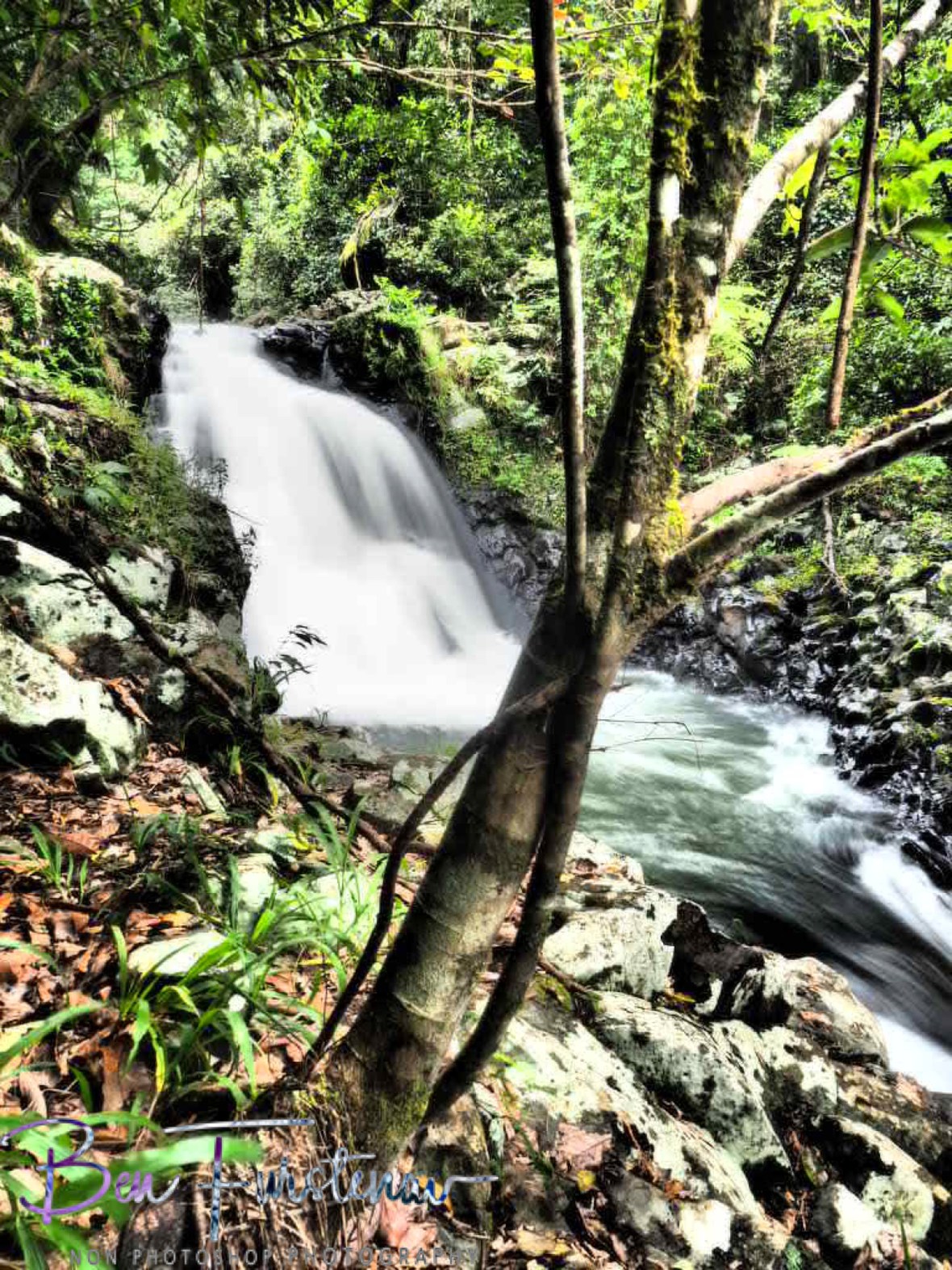Suiota Falls in another viewing angle at Atherton Tablelands, Far North Queensland, Australia 