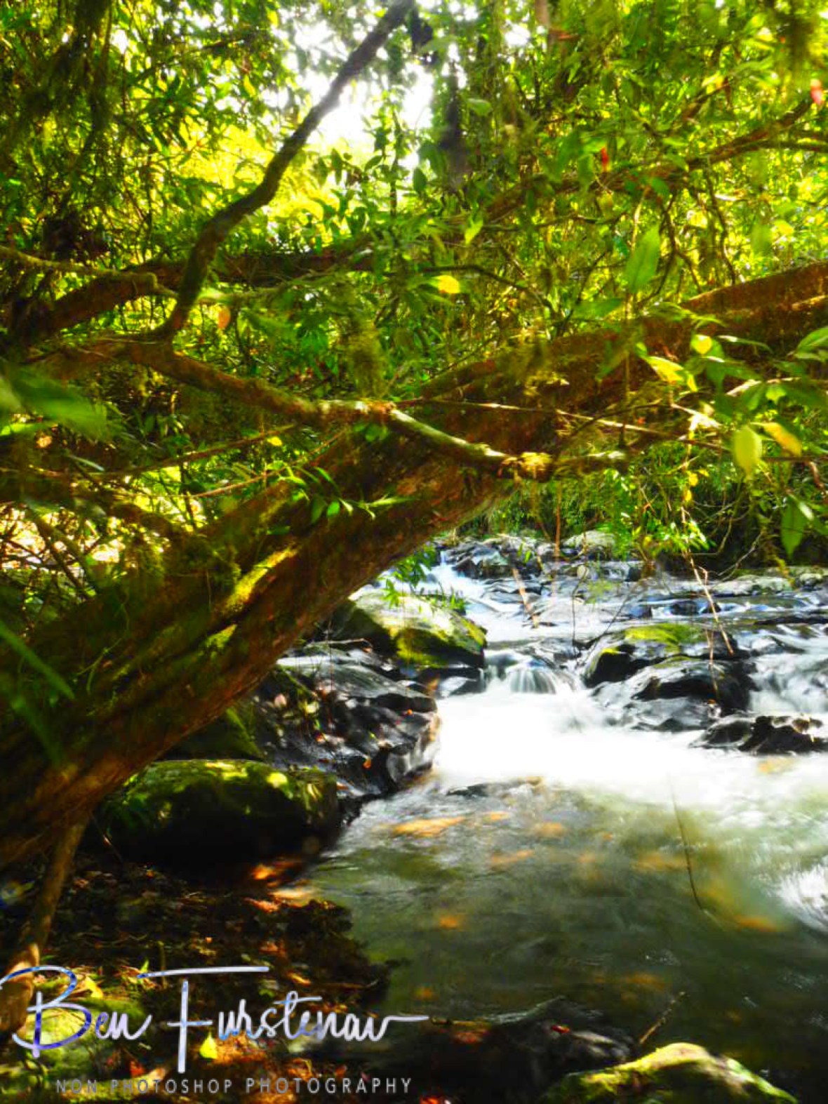 Creek cascading before Suiota Falls at Atherton Tablelands, Far North Queensland, Australia 