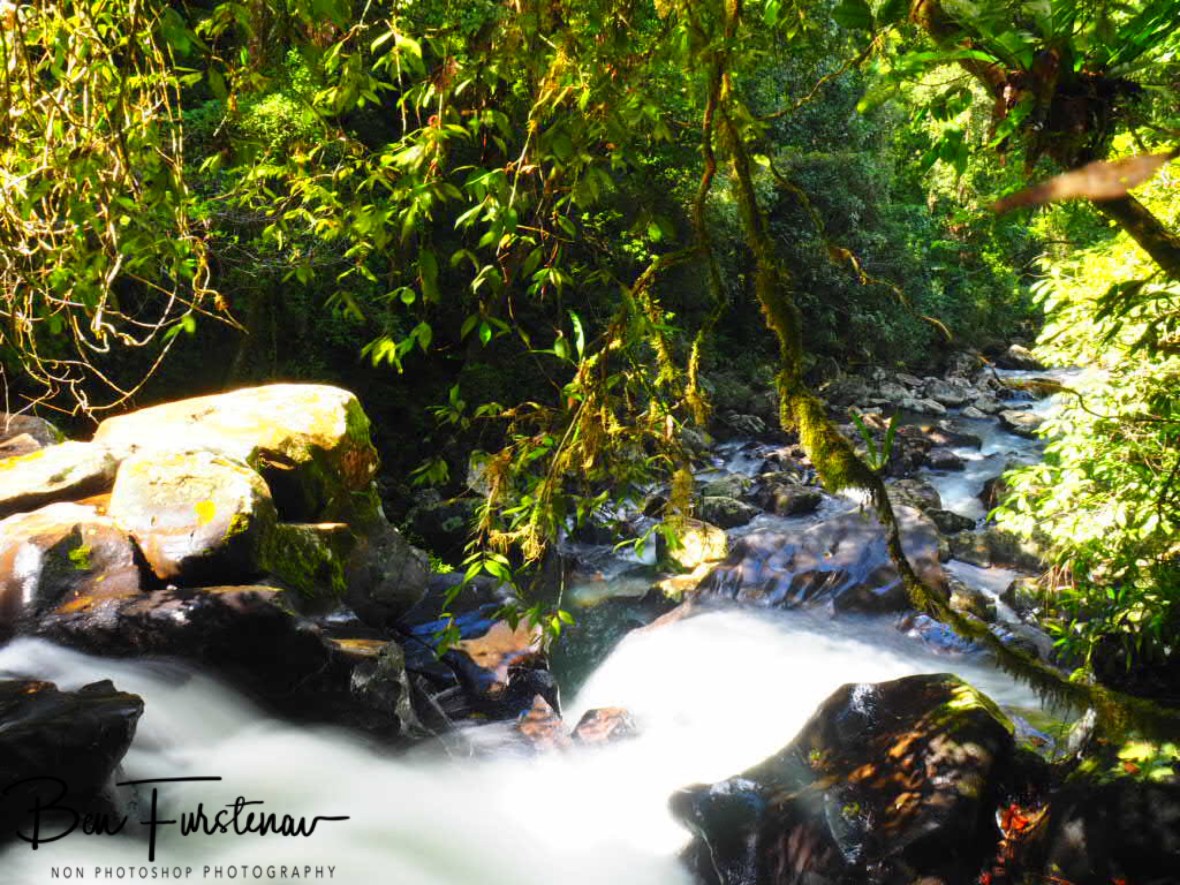 Downstream view at Atherton Tablelands, Far North Queensland, Australia 