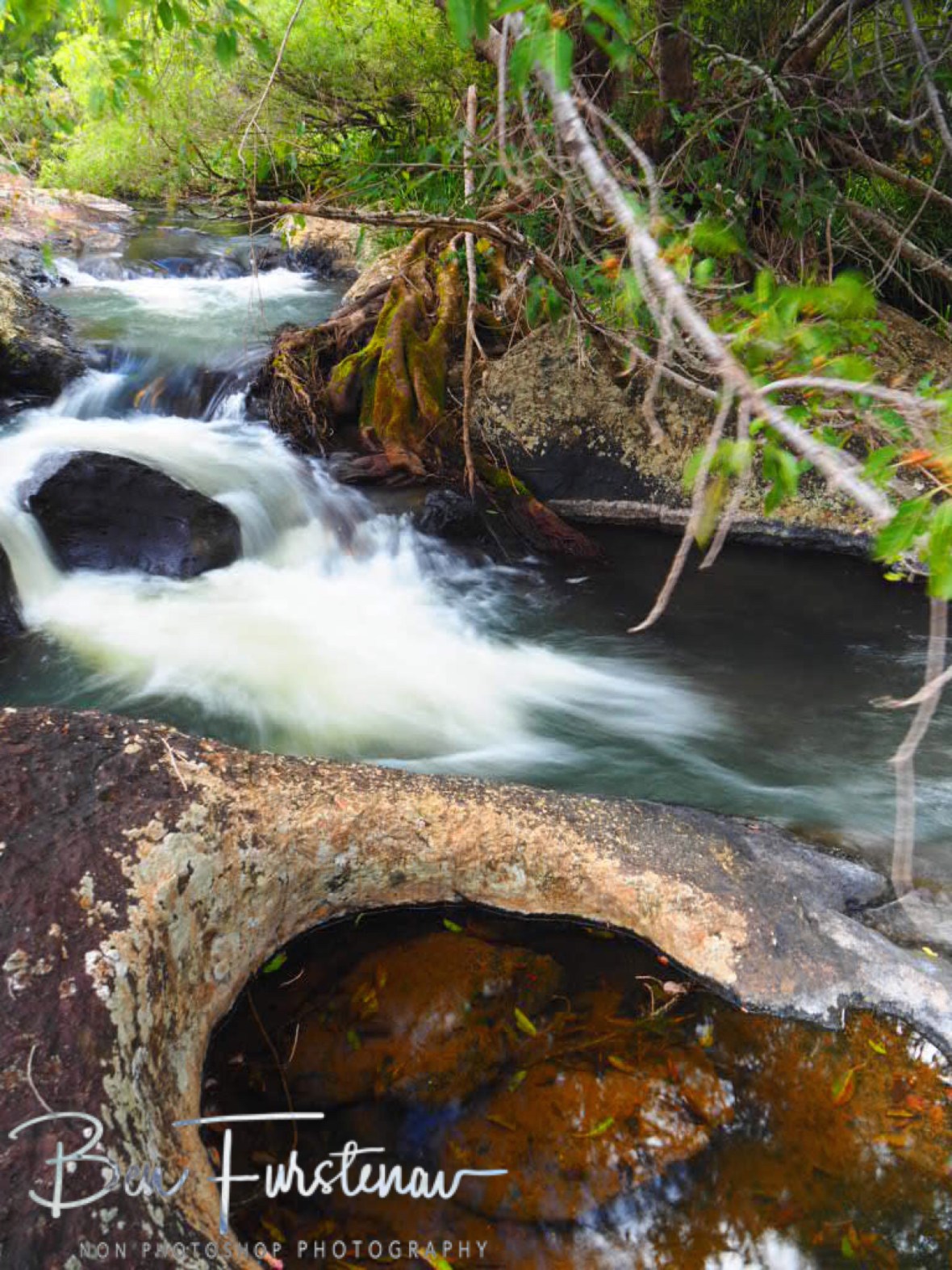 Calm and wild, Atherton Tablelands. Far North Queensland, Australia
