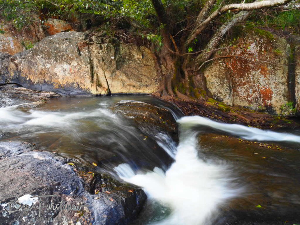 No room for error, Atherton Tablelands, Far North Queensland, Australia