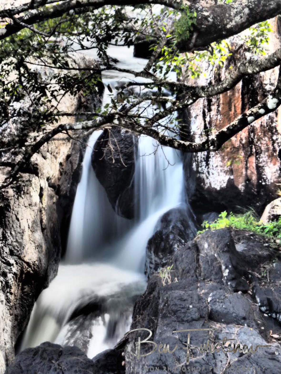 Coming out of the cave, Atherton Tablelands, Far North Queensland, Australia
