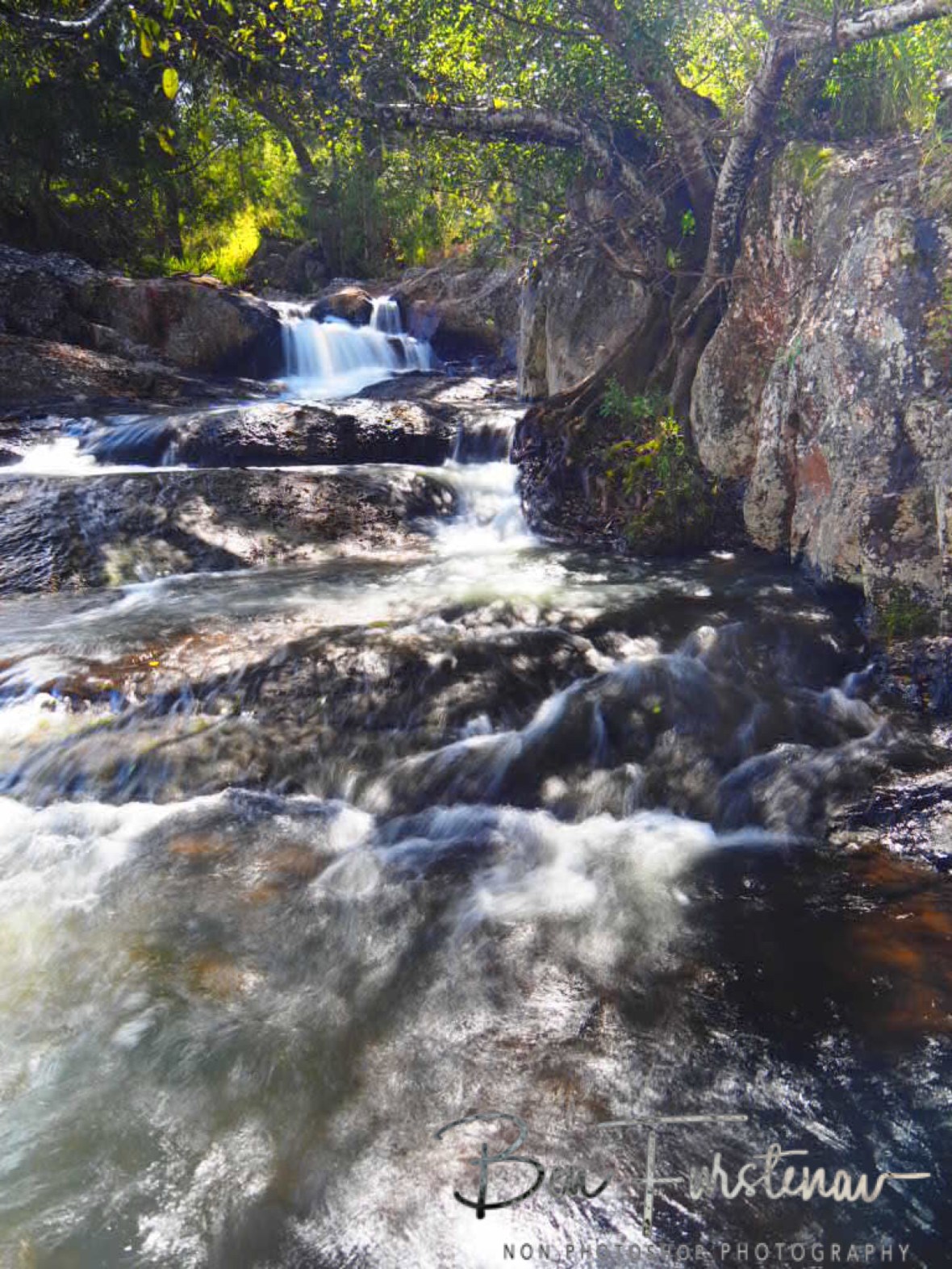 No one knows, Atherton Tablelands, Far North Queensland, Australia