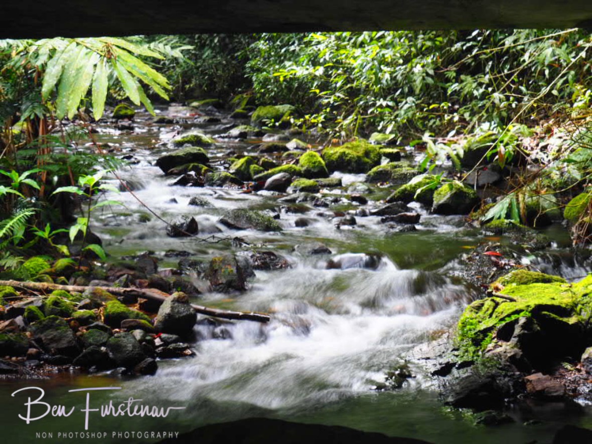 View under the bridge at Atherton Tablelands, far North Queensland, Australia