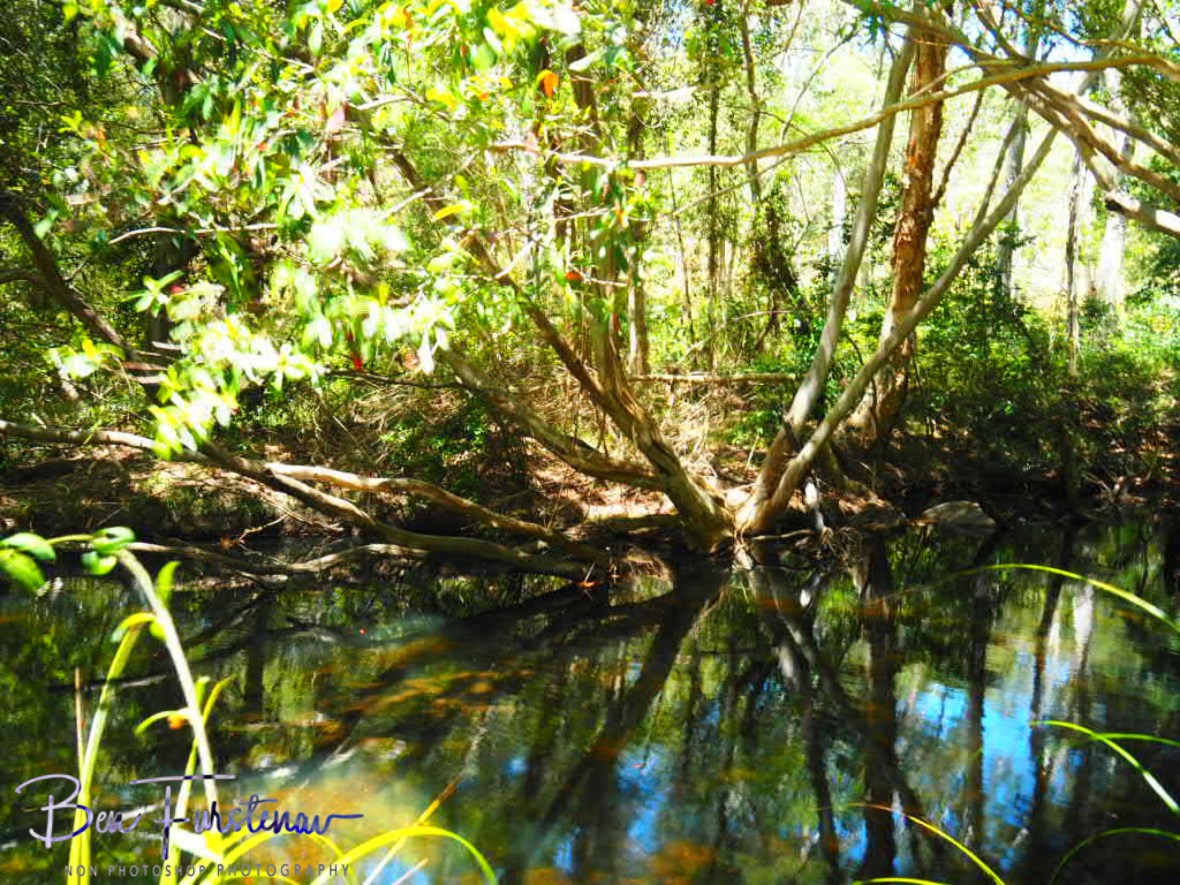 Magnificent reflections at Davies Creek Falls, Atherton Tablelands, Far North Queensland, Australia 