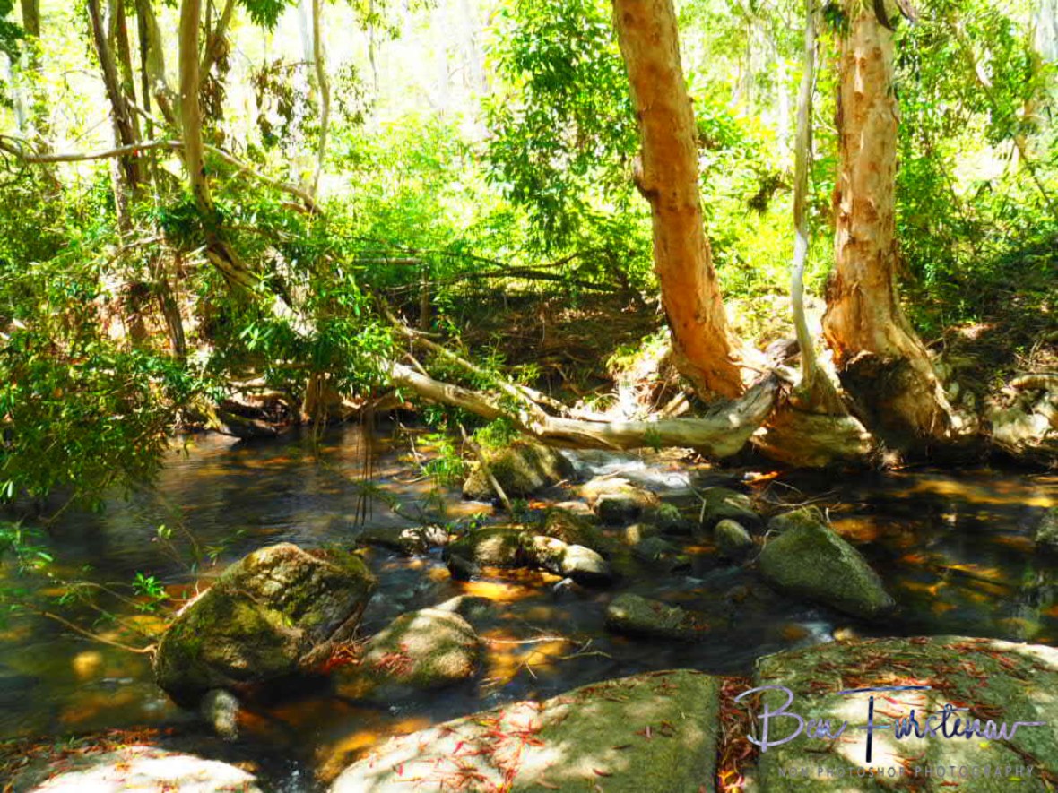 Spectacular Davies Creek, Atherton Tablelands, Far North Queensland, Australia 