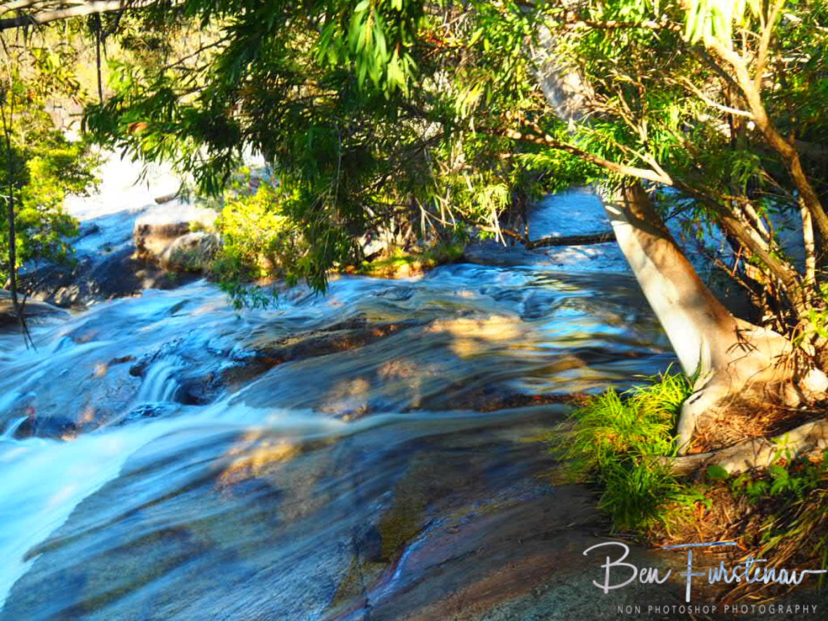 My favourite photo for obvious reasons at Emerald Creek Falls, Atherton Tablelands, Far North Queensland, Australia