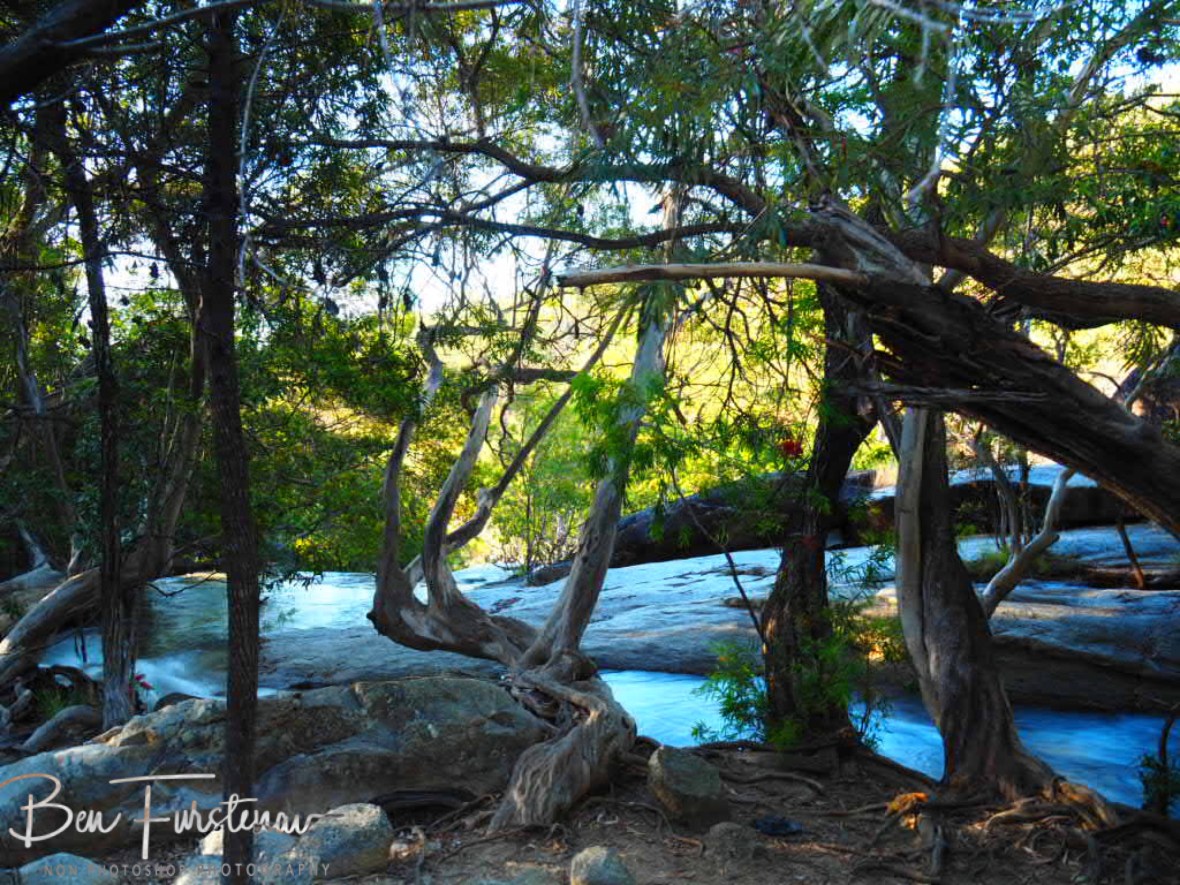 Solid foundation’s on solid ground at Emerald Creek Falls, Atherton Tablelands, Far North Queensland, Australia
