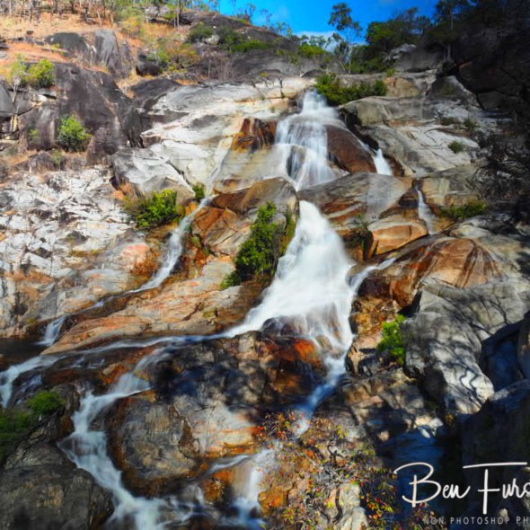 Colourful natural display, Emerald Creek Falls, Atherton Tablelands, Far North Queensland, Australia