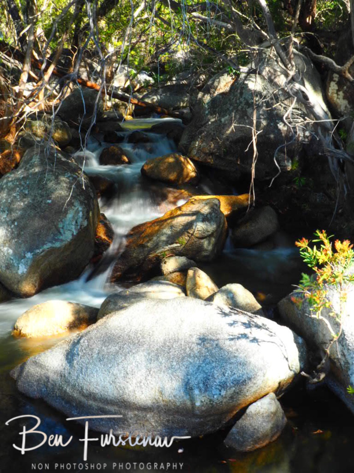 Multiple cascades at Emerald Creek Falls, Atherton Tablelands, Far North Queensland, Australia