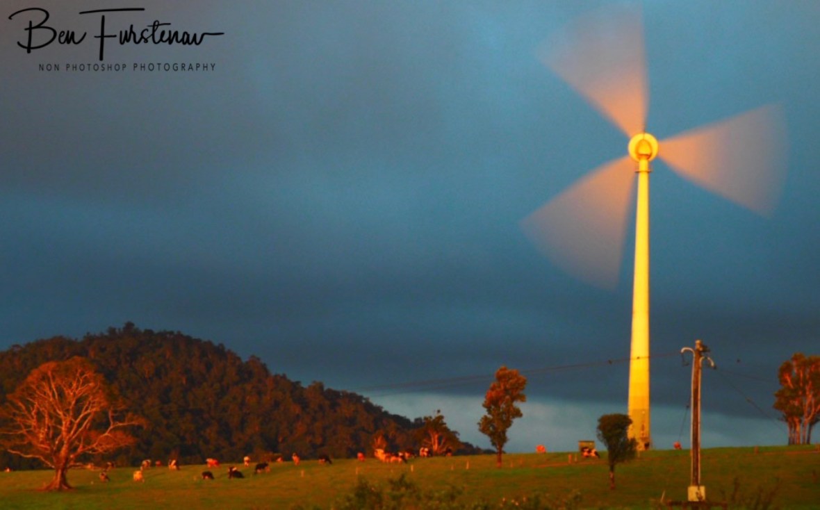 Windmill farm, Atherton Tablelands, Far North Queensland, Australia