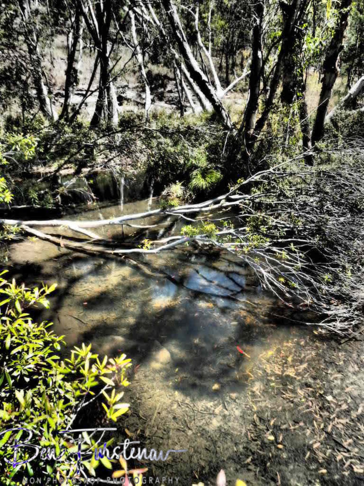 A surreal landscape  at Upper Davies Creek, Atherton Tablelands, Far North Queensland, Australia 