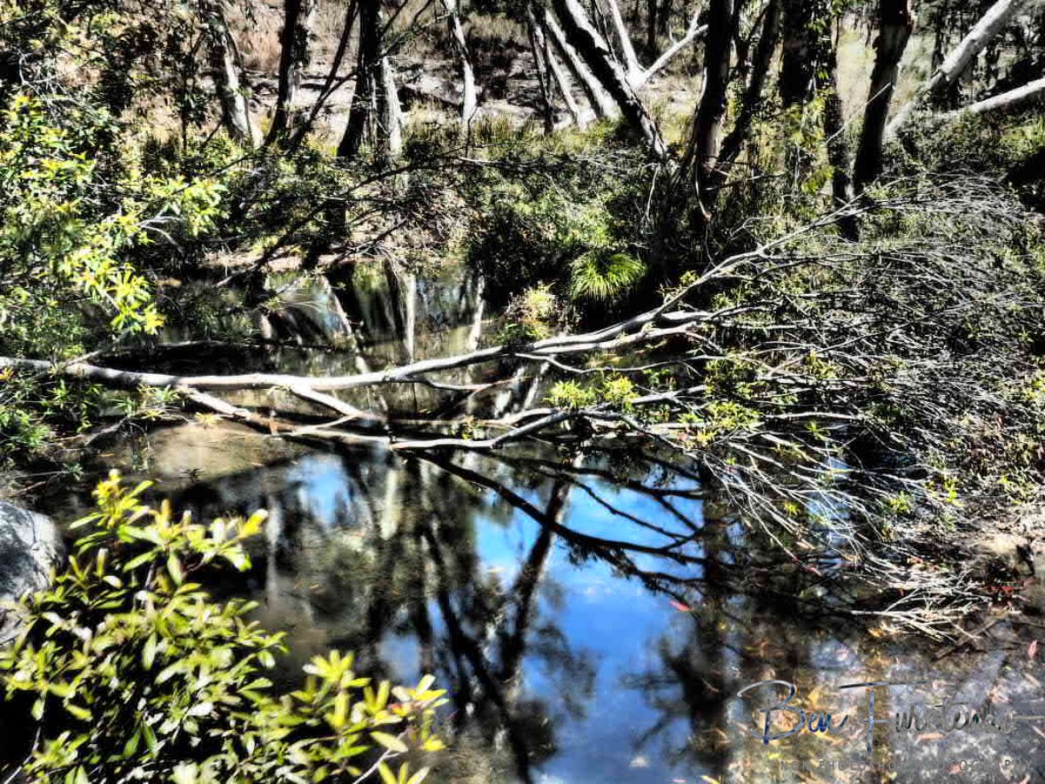 Pool reflections at Upper Davies Creek, Atherton Tablelands, Far North Queensland, Australia