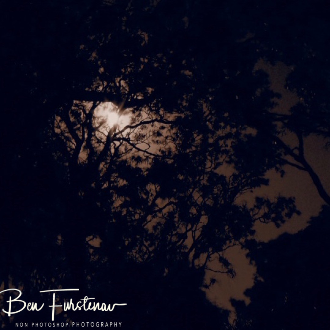 Last OM-D photo for 6 weeks at Elim Beach, Cape York Peninsula, Far North Queensland, Australia culture shock