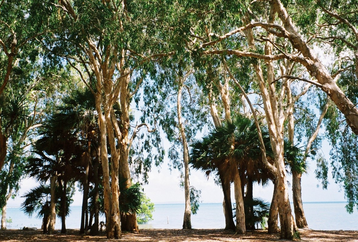 Quite Camp spot at Elim Beach, Cape York Peninsula, Far North Queensland, Australia