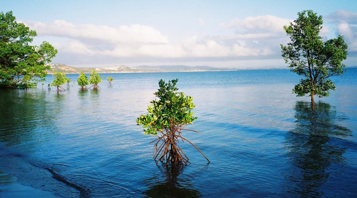 Idyllic memories from Elim Beach, Cape York Peninsula, Far North Queensland, Australia