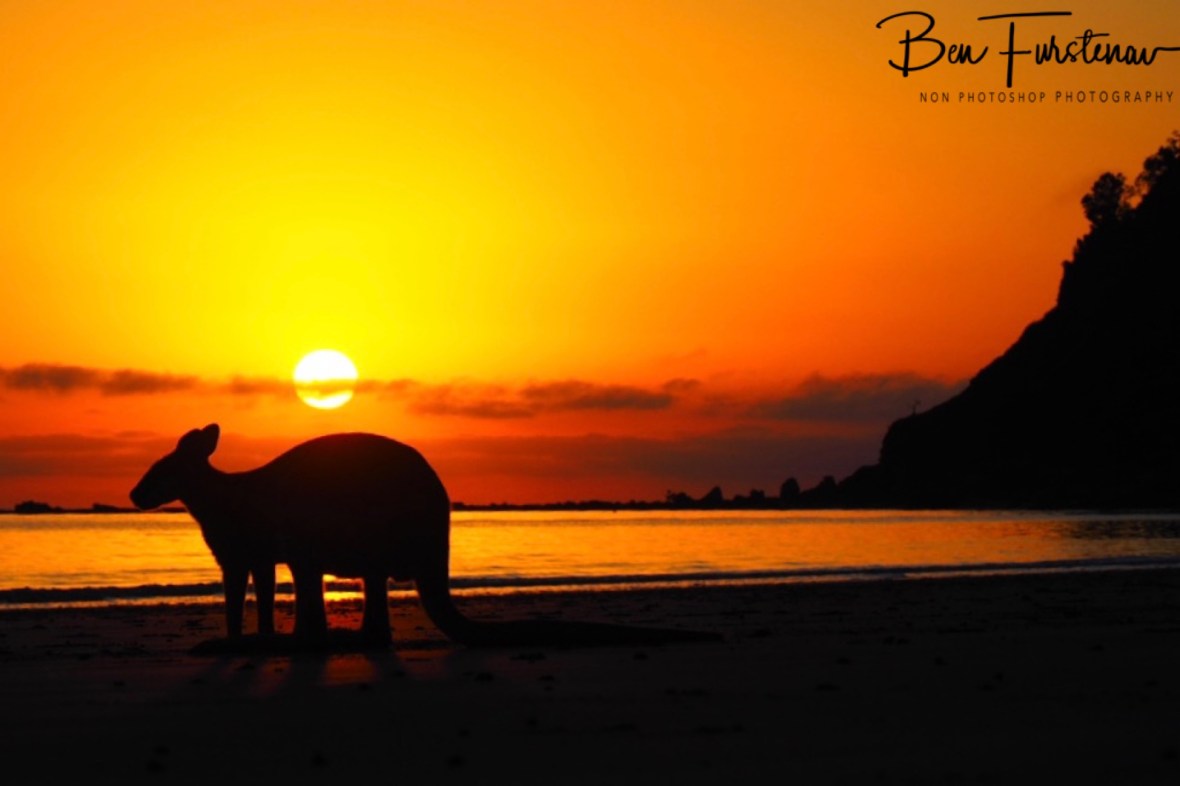 Holidays for some, Australia, Queensland, Cape Hillsborough,