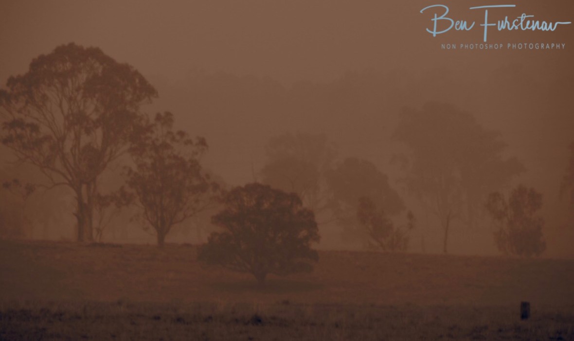 Smoke hazard in sepia, Australia, Northern New South Wales, Ulmara